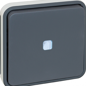 EUROHM OXXO Va et Vient LUMINEUX compos GRIS IP55 REF : 60821