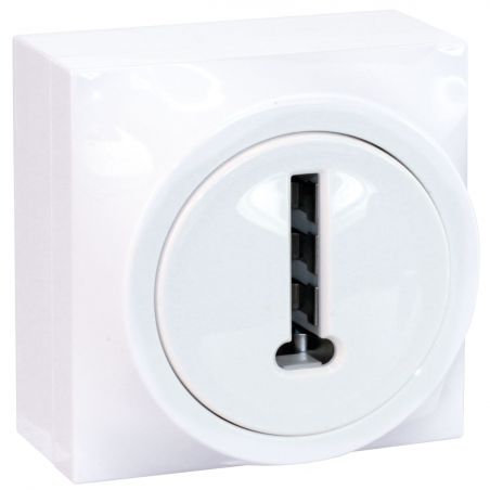 60970 EUR'OHM DUNE Conjoncteur téléphonique en T blanc