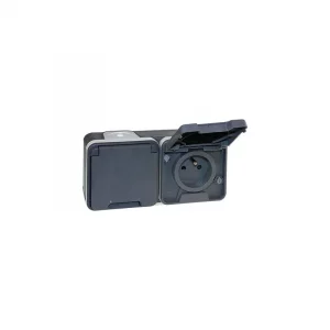 Double prise horizontale 2P+T Oxxo - 1 poste - 16A - 250V - IP55 - Gris Réf 60841