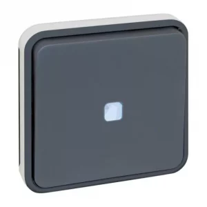 Mécanisme bouton poussoir lumineux Oxxo Eur'Ohm - 10A - IP 55 - Gris