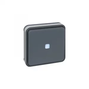 Bouton poussoir lumineux Oxxo - Eur'Ohm - 1 poste - 10A - Gris Réf 60884