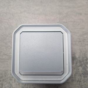 Legrand - Plexo - Poussoir NO lumineux 10A complet IP55 saillie - gris - Réf : 069722L